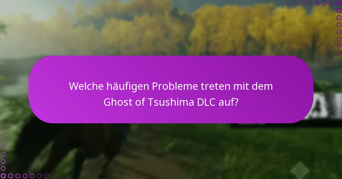 Welche Methoden gibt es, um den Zugriff auf das DLC zu überprüfen?
